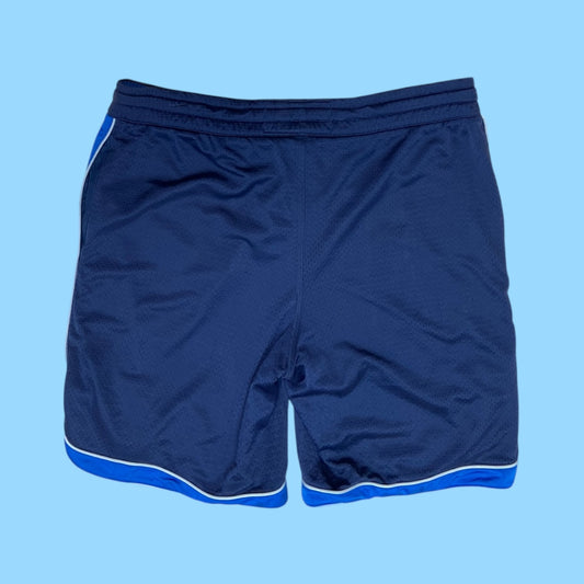 Vintage Nike shorts - L