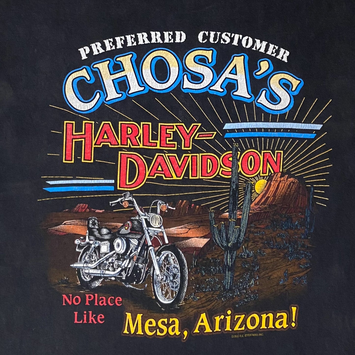 Vintage 1995 Harley Davidson t-shirt - L