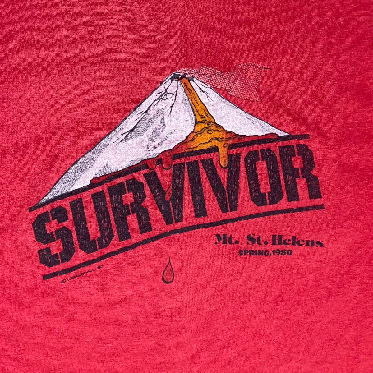 Vintage 1980 Mt; St. Helens survivor t-shirt - L (women's)