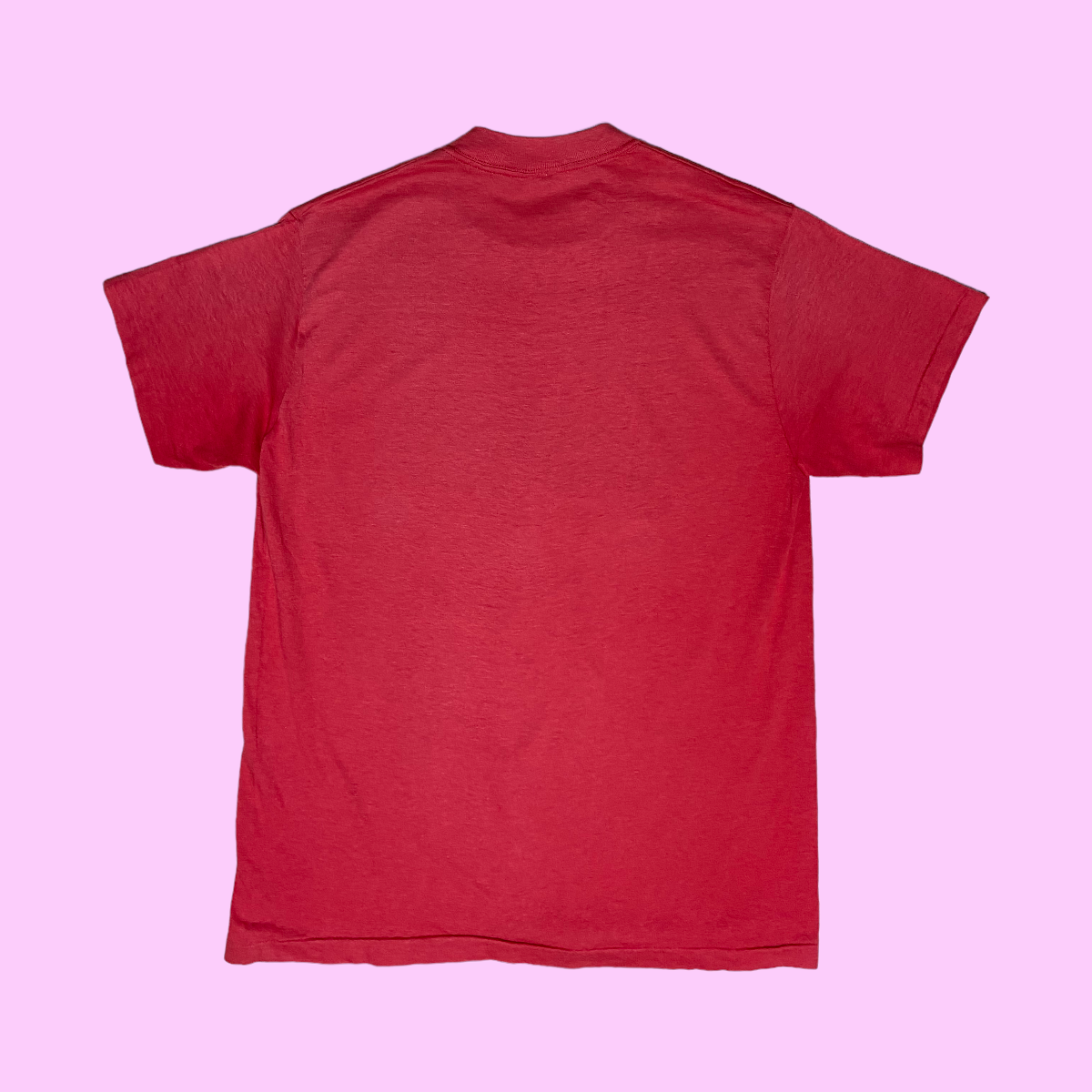 Vintage 1980 Mt; St. Helens survivor t-shirt - L
